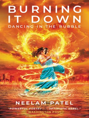 cover image of Burning It Down